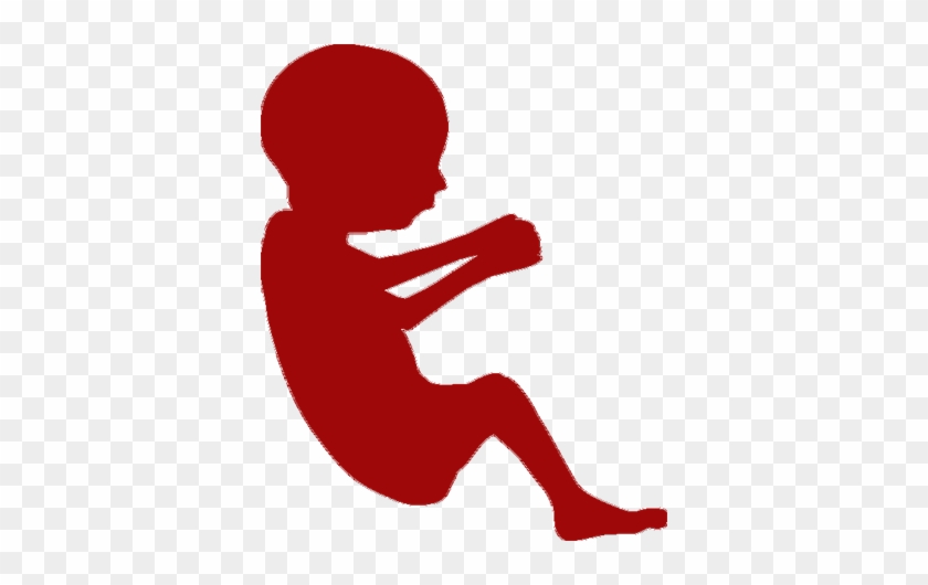 Fetus-baby - Fetus Silhouette #1156246