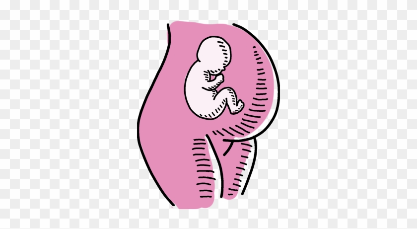 Illustration Of Pregnant Woman With Fetus Inside - Fetus #1156358