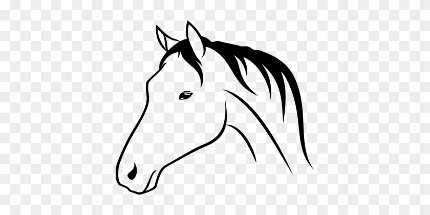 Animal, Horse, Head, Drawing - Horse Head Drawing #1156359