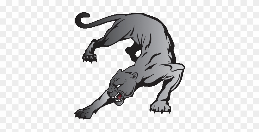 Cougar Clipart Panther Drawing - Panther Logos Clip Art #1156366