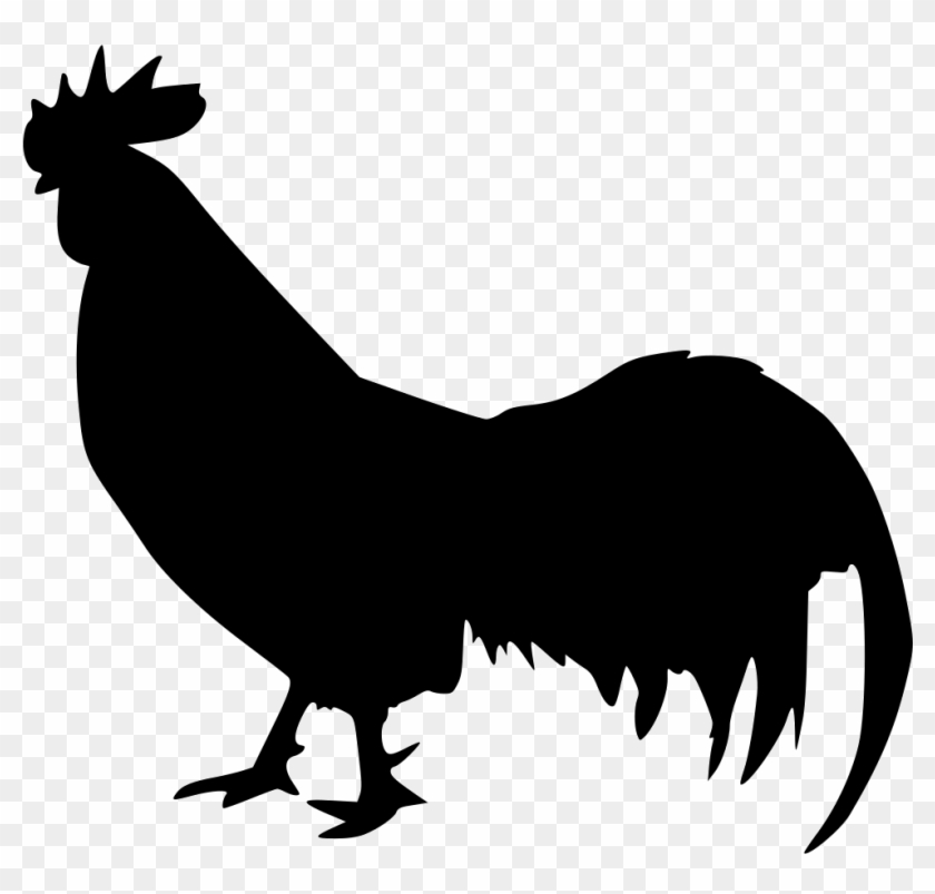 Png File Svg - El Pukupuku Y El Gallo #1156649