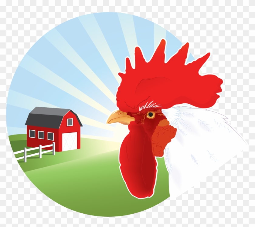 Fight Chicken Vector 1877*1585 Transprent Png Free - Pura Ulun Danu Bratan #1156655