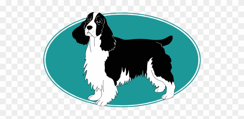Assur O'poil, Assurance Chien Vous Parle Du English - English Cocker Spaniel #1156731