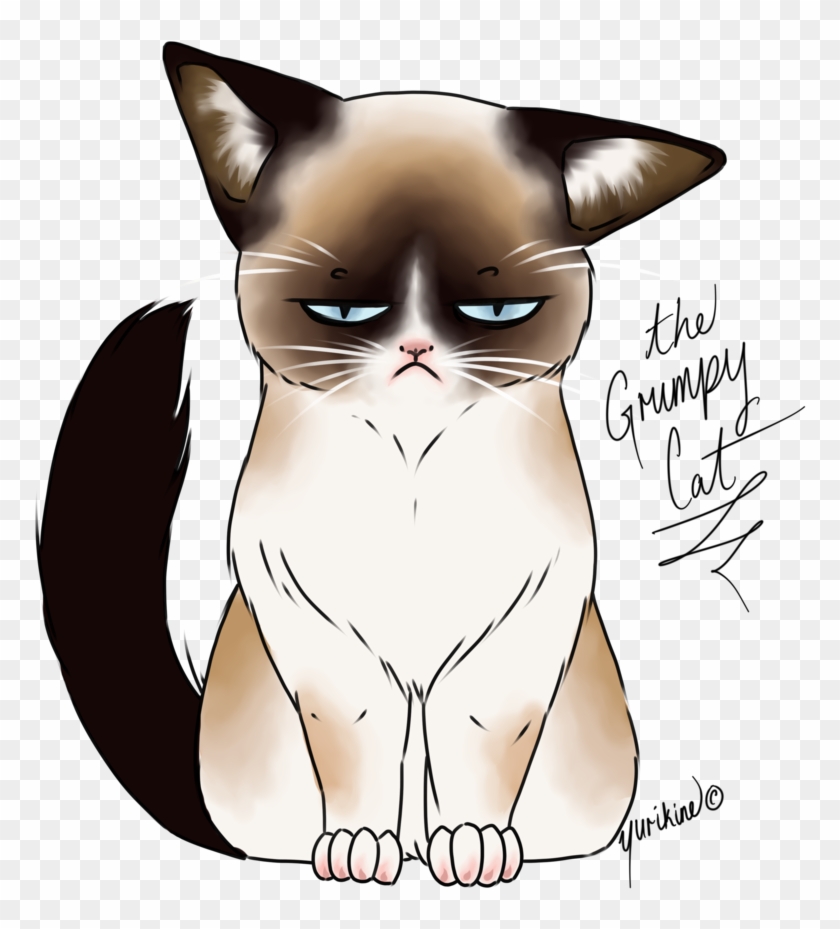 Drawn Grumpy Cat Digital Cute Grumpy Cat Drawings Free Transparent Png Clipart Images Download - no go away grumpy cat no go away roblox grumpy cat meme
