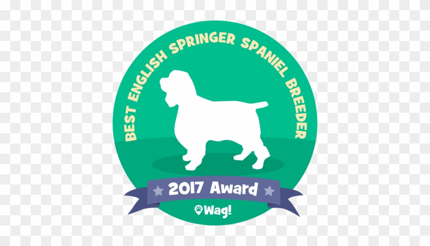 Soaring English Springer Spaniels Best English Springer - Words That Describe You #1156735