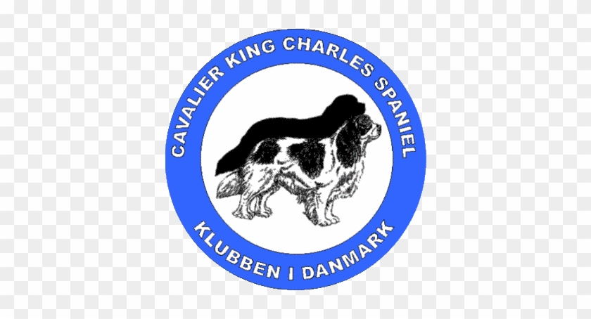 Denmark's Cavalier King Charles Spaniel Club - Cavalier King Charles Spaniel #1156741