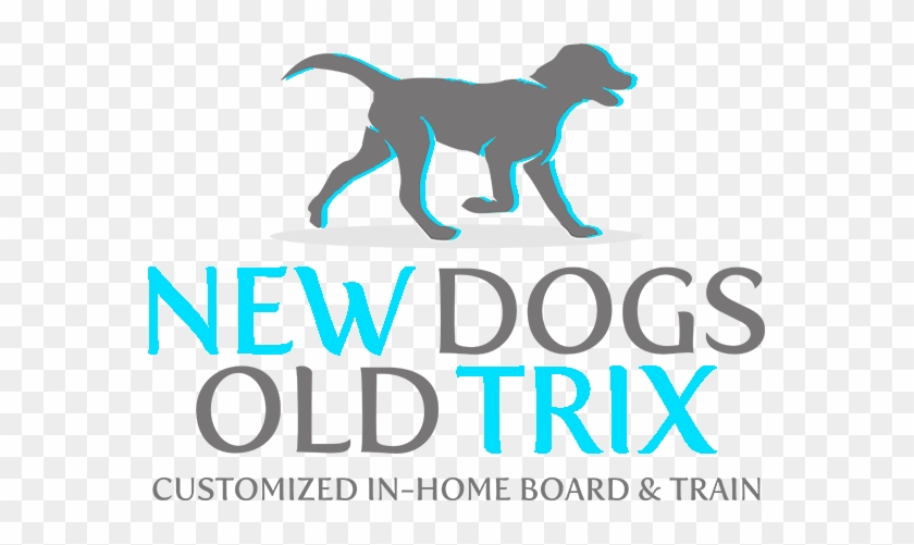 Dog Training In Tucson, Az New Dogs Old Trix - Cat Jumps #1156746