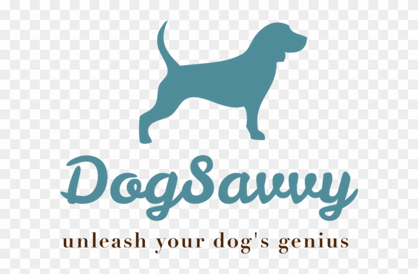Positive Dog Training By Dog Savvy Los Angeles - Makeup #1156748