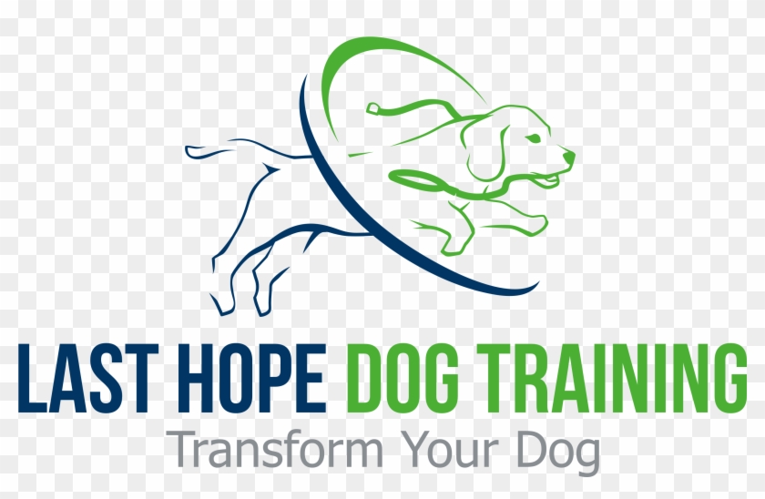 Last Hope Dog Training - Dog Training #1156803