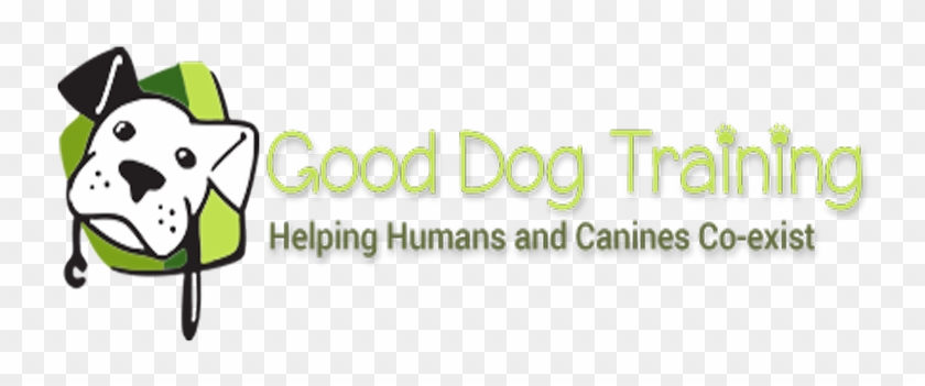 Dog Training #1156817