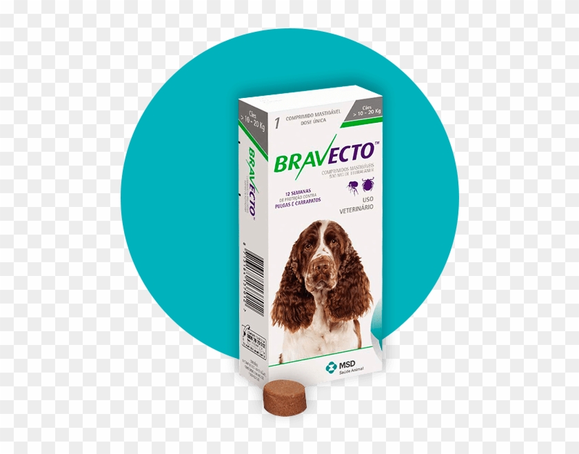 Bravecto 500mg - Bravecto Medium Dog 500mg Green 10kg - 20kg #1156830