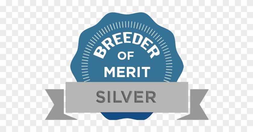 Judie Posner Encore Cockers & Cavaliers - Label #1156839