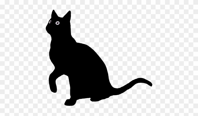 Halloween Black Cat - Transparents Png Tumblr Halloween #1156979