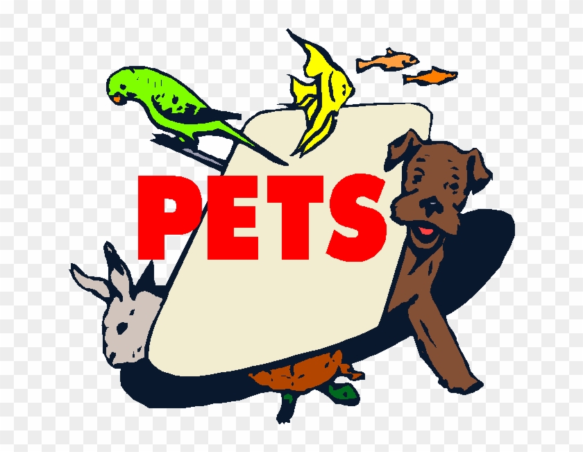 Pets - Pet Store #1157165