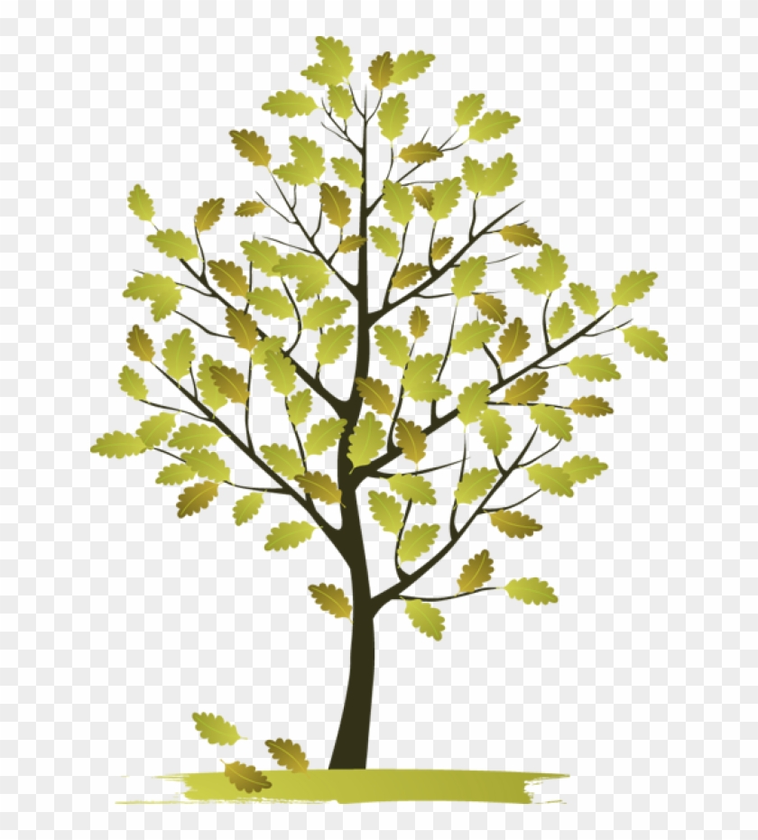 Autumn Tree Clip Art 5reqcw Clipart - Natural Beauty Clip Art #1157257