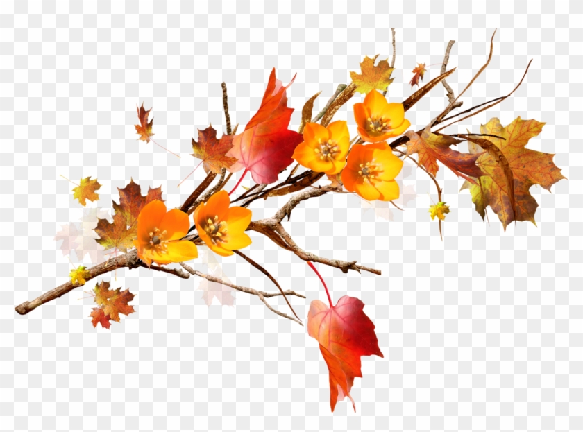 Leaf Autumn Flower Branch Floral Design - Yaprak #1157263