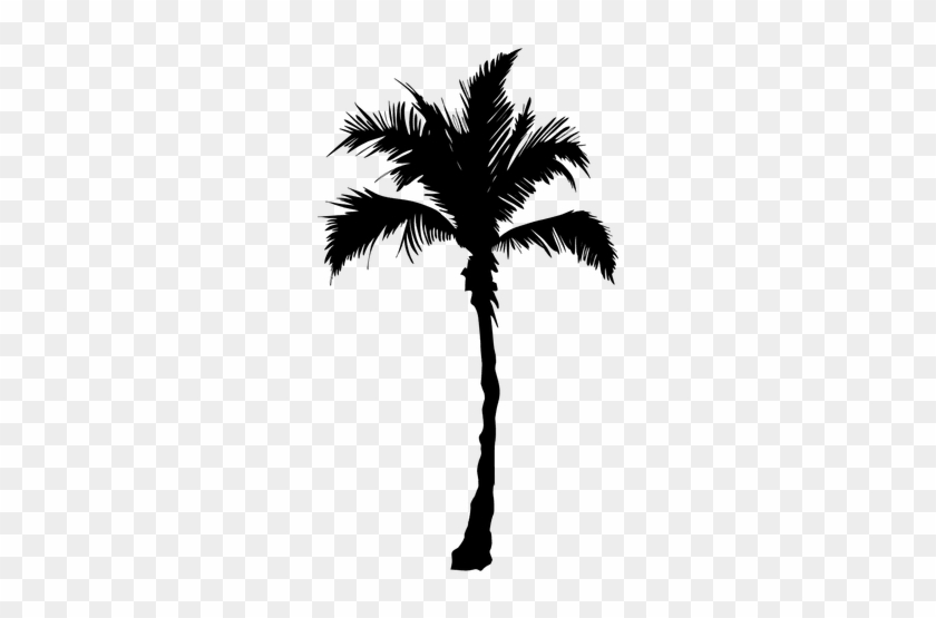 Palm Beach Palm Tree Transparent Png - Black Palm Tree Png #1157634