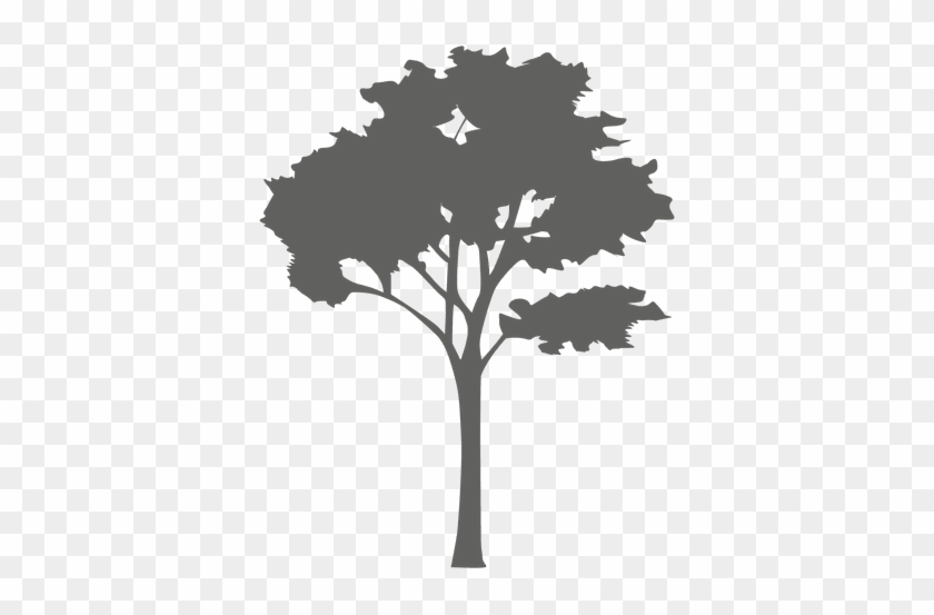 Maple Tree Silhouette 2 Transparent Png - Tree Silhouette Png #1157640