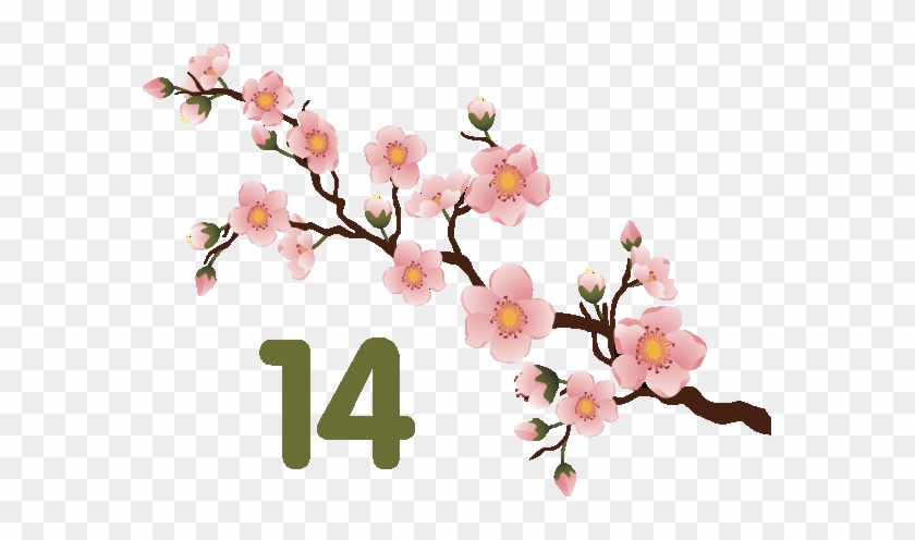 Salesforce Spring 14 Is Coming - Cherry Blossom #1157848
