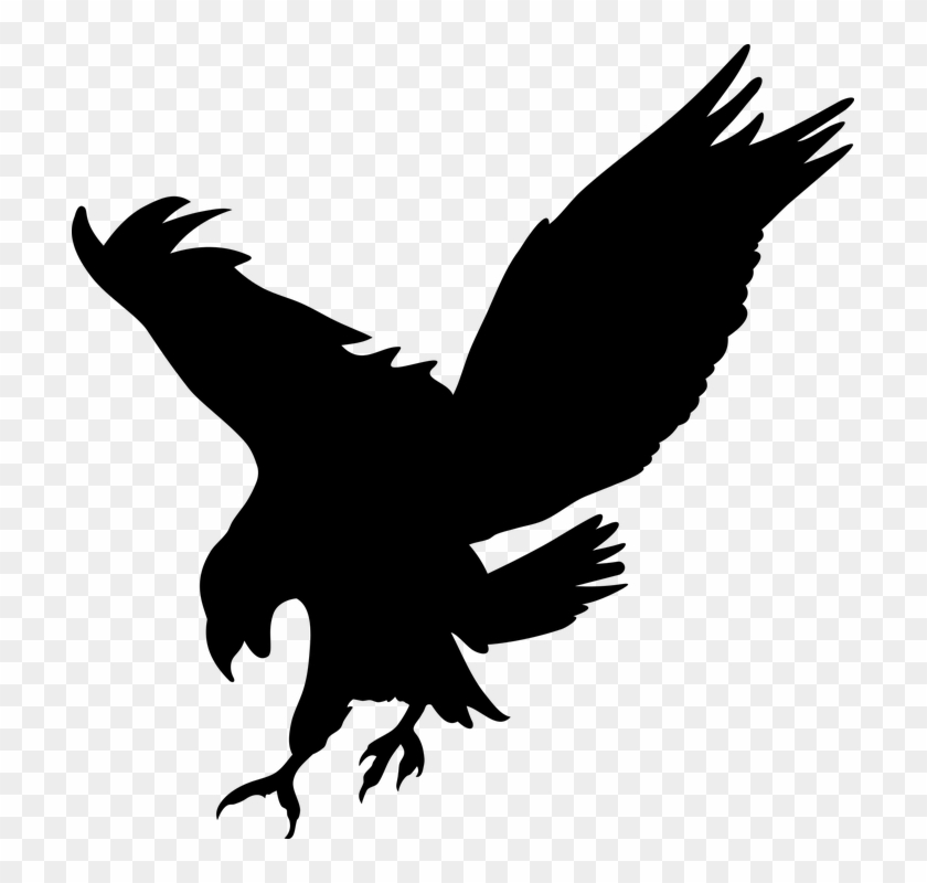 Bird Of Prey Clipart Transparent - Eagle Silhouette No Background #1157850