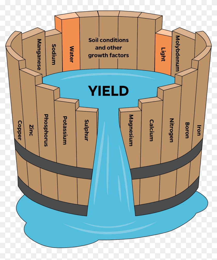 Managing The Health And Productivity Of Hlb-affected - Concept Of Limiting Factor #1157901