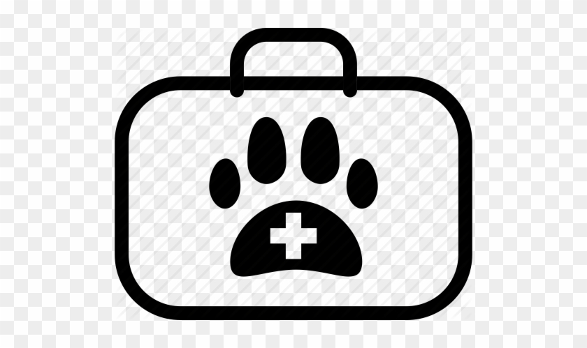 Medicine Clipart Animal Medicine - Animal Medicine Icon #1158123