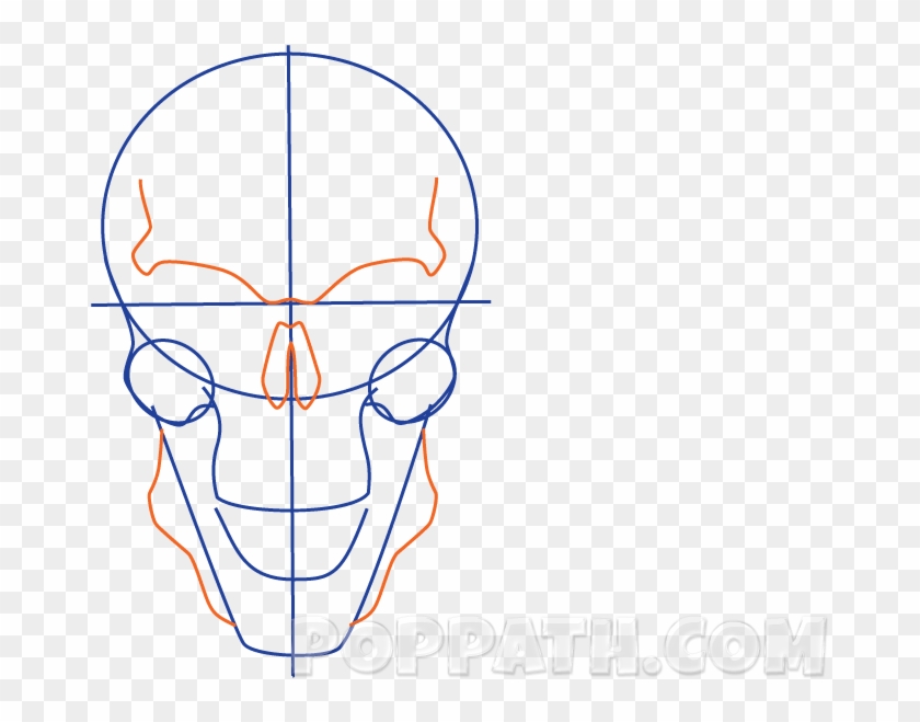 Play Slideshow - Skull #1158185