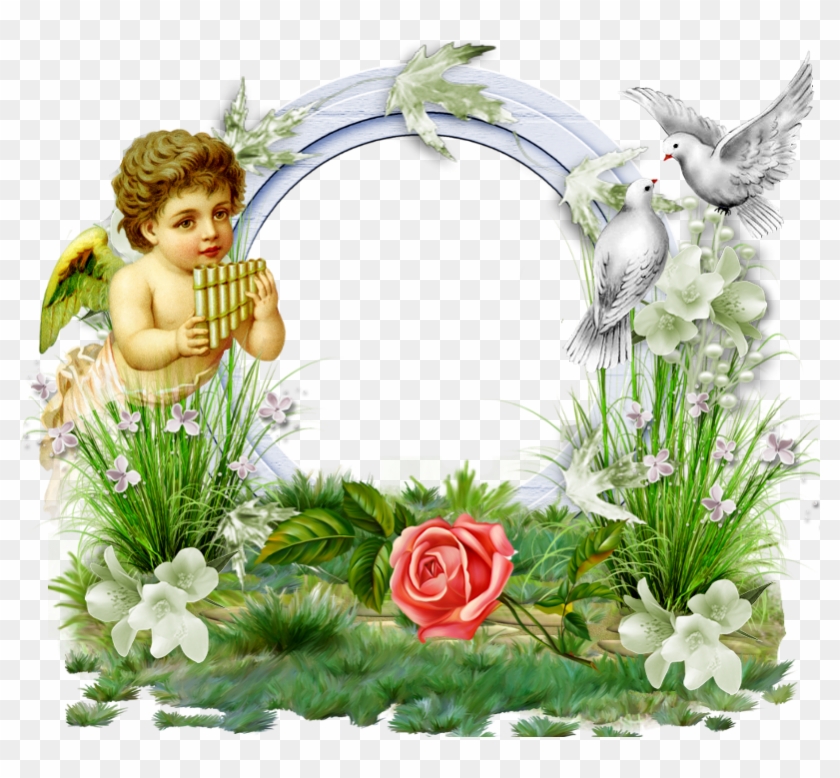 Transpa Photo Frame With Angel And Doves Borders Transpa Photo Frame With Angel And Doves Borders Frames 1158404