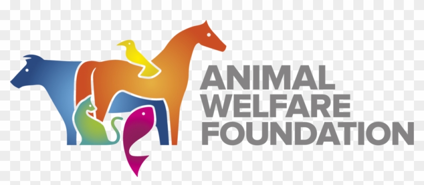Animal Welfare Puppy Veterinarian Veterinary Medicine - Animal Welfare Foundation #1158867