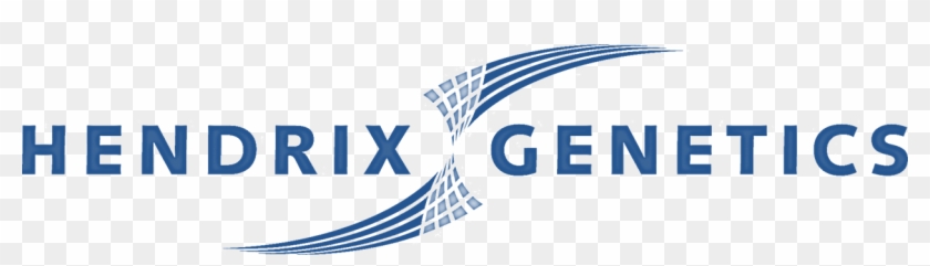 2018 Dutch Aquaculture Experts - Hendrix Genetics #1159089