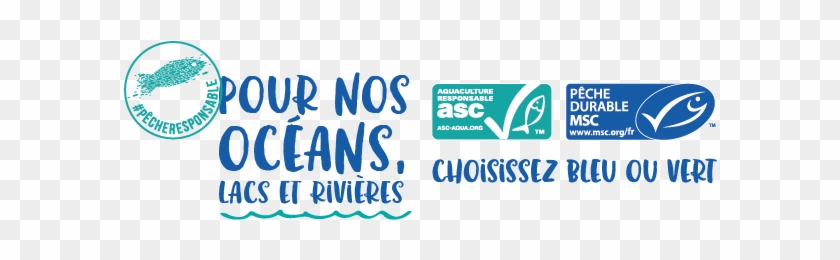 Honneur Au Poisson Durable 2 Minutes - Marine Stewardship Council #1159170