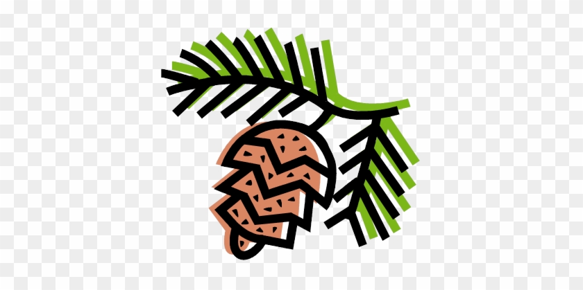 Pinecone - Pine Cone Drawing Easy #1159763