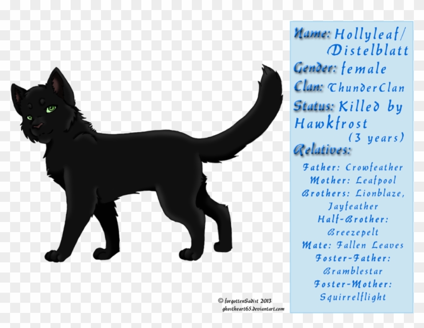 Warrior Cats Hollyleaf And Sol For Kids - Warriors Hollyleaf And Crowfeather #1159850