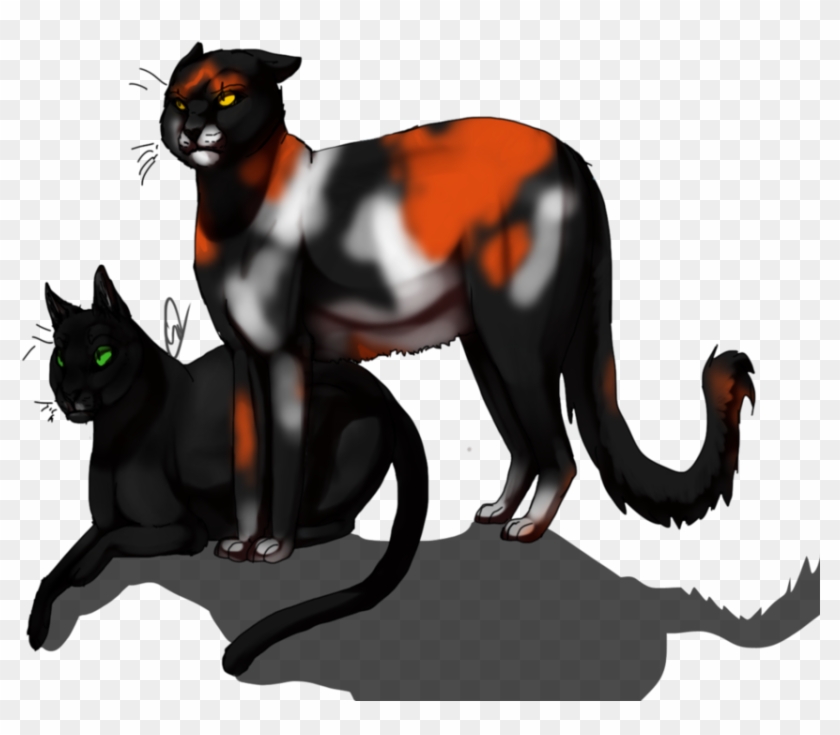 Warrior Cats Hollyleaf And Sol Download - Warrior Cats Sol And Hollyleaf #1159855