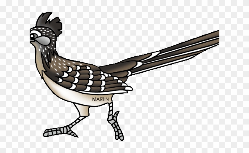 Bird Clipart Roadrunner - Clip Art #1159867