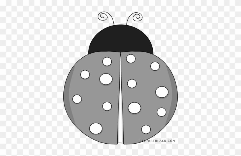 Wonderful Ladybug Animal Free Black White Clipart Images - Clip Art #1159887