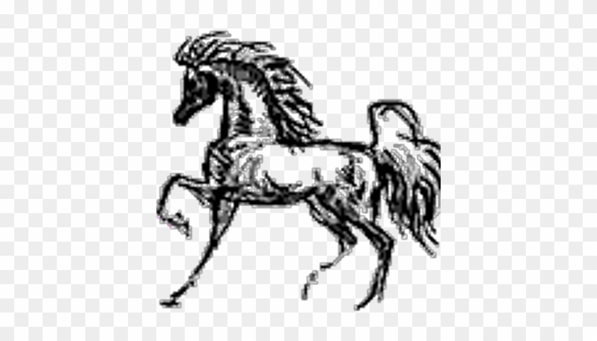 Alphamare - Horse #1159890