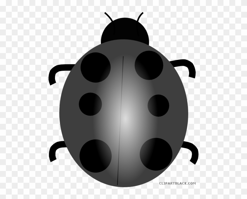 Wonderful Ladybug Animal Free Black White Clipart Images - Ladybug #1159945