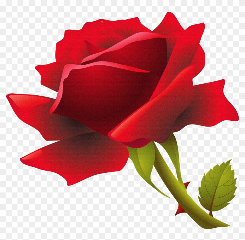 Rose Flower Clip Art - Red Rose Png #1160425