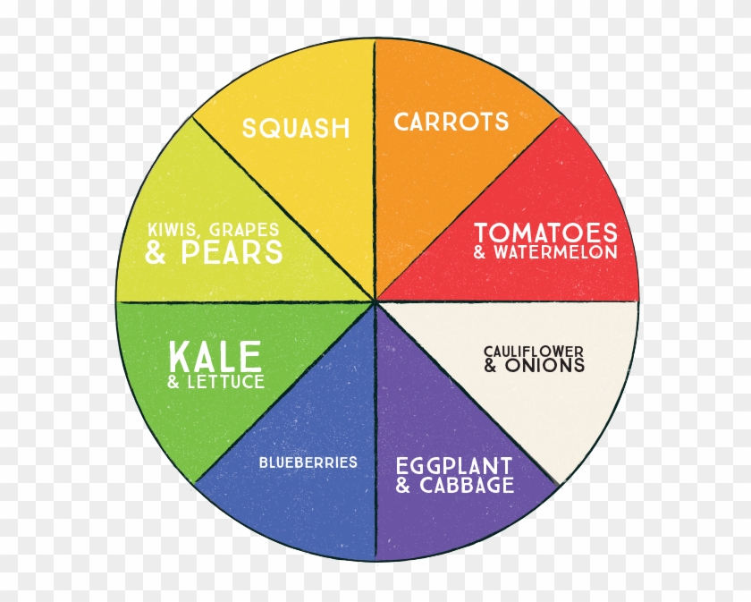 Vegetable Color Wheel - Color Wheel Fruits And Vegetables #1160600