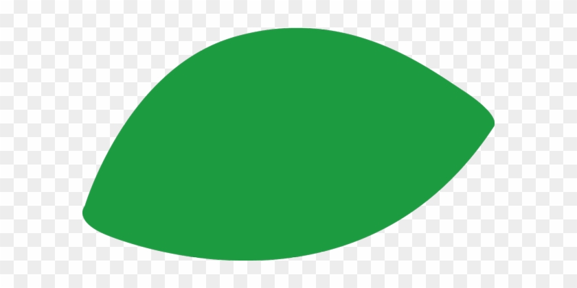 About Sscy - Circle #1160617