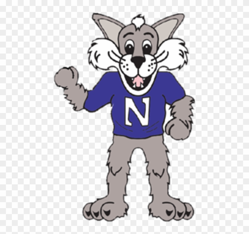 Ask A Cat Fresh U Rh Northwestern Freshu Io High School - Willie The Wildcat Northwestern #1160814