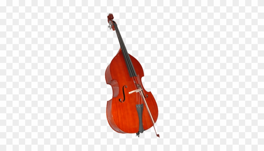 Musical Instruments Double Bass #1161382