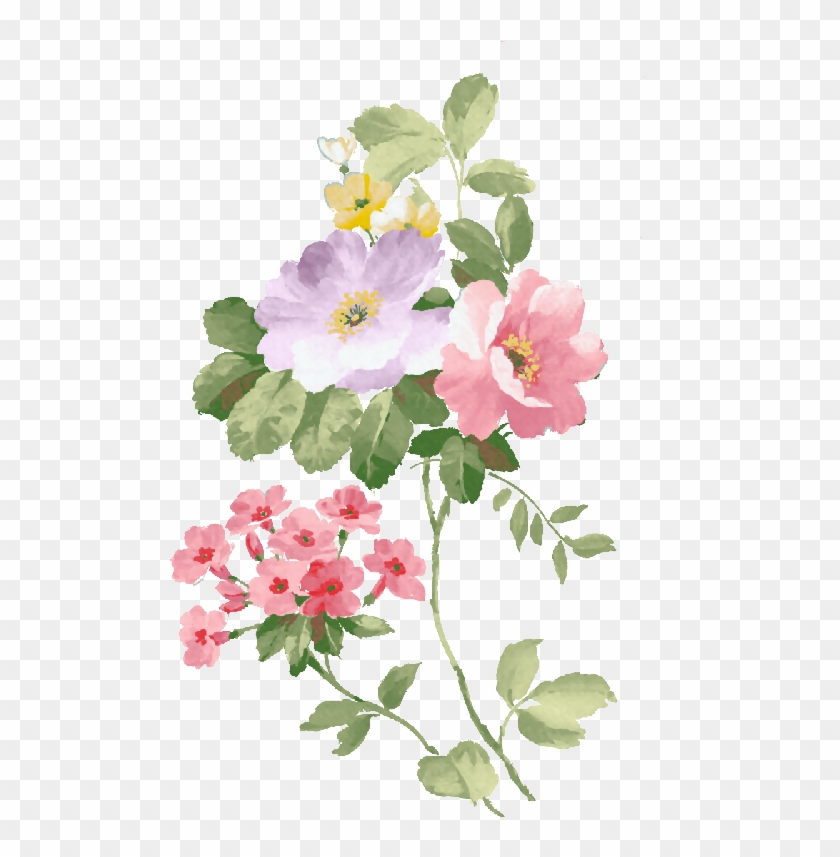 Acuarela De Flores Pintura A La Acuarela - Watercolour Free Flower #1161532