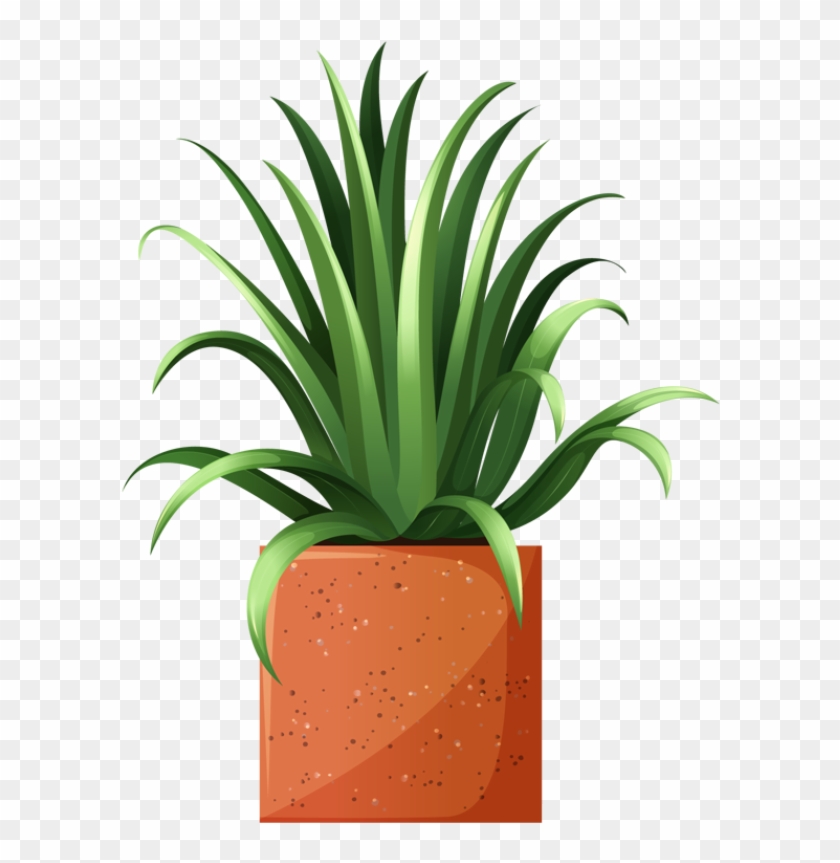 Clip Art Of Beautiful Plants For The Spring Garden - Potted Bushes Clipart Png #1161598