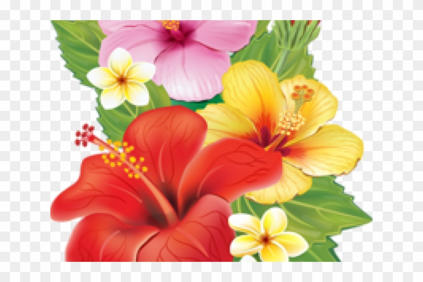 Plumeria Clipart Red - Cafepress Tropical Hibiscus Tile Coaster #1161664