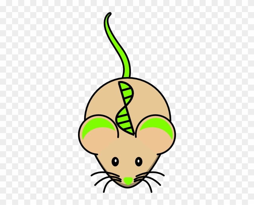 Transgenic Mouse Clip Art At Clker - Mouse Clip Art #1161681