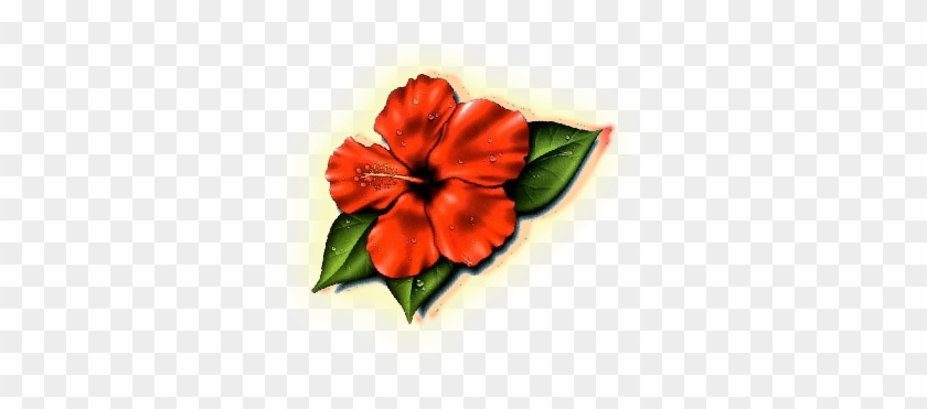 Lovely Plumeria Photos Hawaii State Flower Images Clipart - Hibiscus Flower Tattoo #1161697
