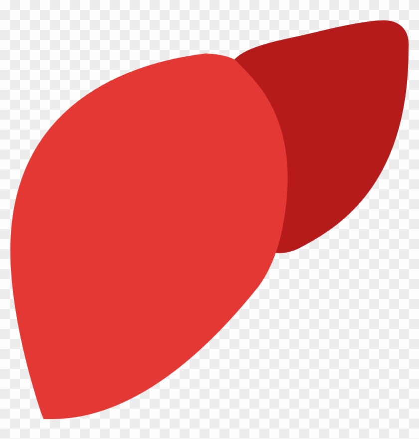 Download Foundations Of - Liver Icon #1161698