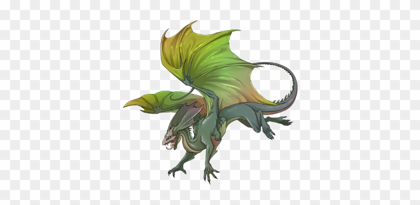 2556348 350 - Dragons #1161790